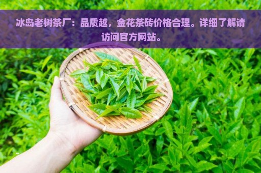 冰岛老树茶厂：品质越，金花茶砖价格合理。详细了解请访问官方网站。