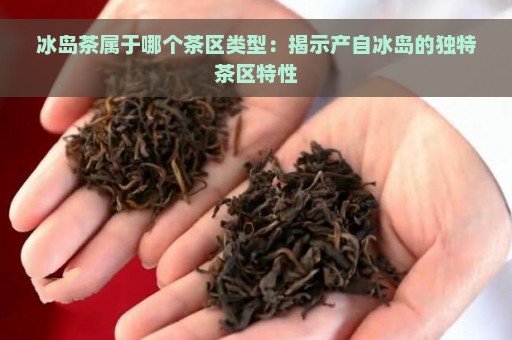 冰岛茶属于哪个茶区类型：揭示产自冰岛的独特茶区特性