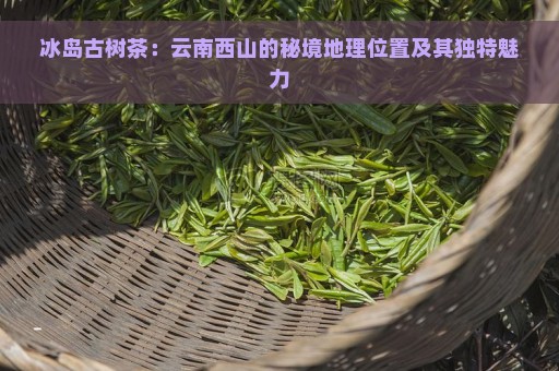 冰岛古树茶：云南西山的秘境地理位置及其独特魅力