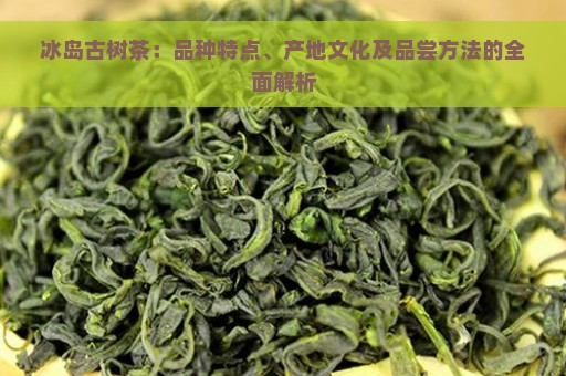 冰岛古树茶：品种特点、产地文化及品尝方法的全面解析