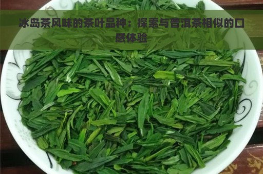 冰岛茶风味的茶叶品种：探索与普洱茶相似的口感体验