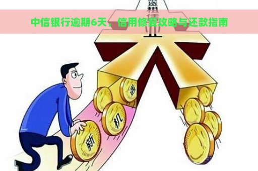 中信银行逾期6天，信用修复攻略与还款指南