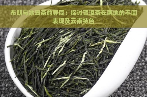 布朗与冰岛茶的异同：探讨普洱茶在两地的不同表现及云南特色