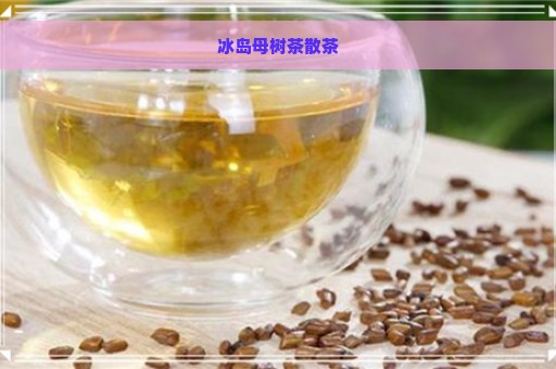 冰岛母树茶散茶