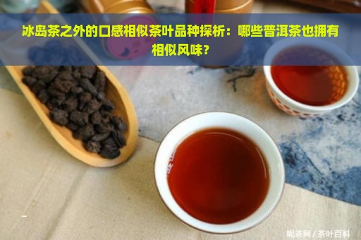 冰岛茶之外的口感相似茶叶品种探析：哪些普洱茶也拥有相似风味？