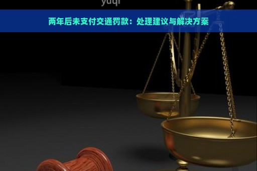 两年后未支付交通罚款：处理建议与解决方案