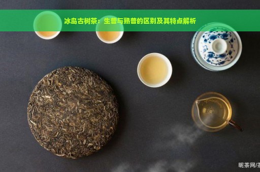 冰岛古树茶：生普与熟普的区别及其特点解析