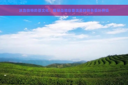 冰岛独特的茶文化：揭秘当地非普洱茶的特色茶叶种类