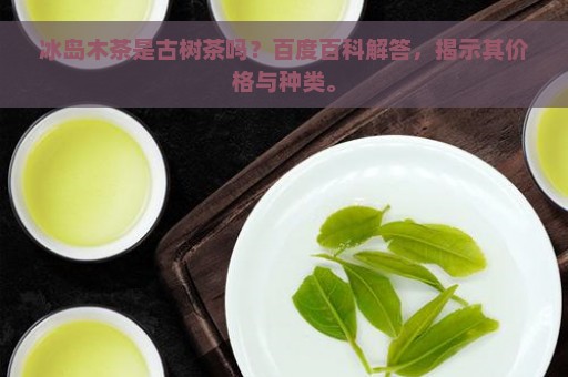 冰岛木茶是古树茶吗？百度百科解答，揭示其价格与种类。