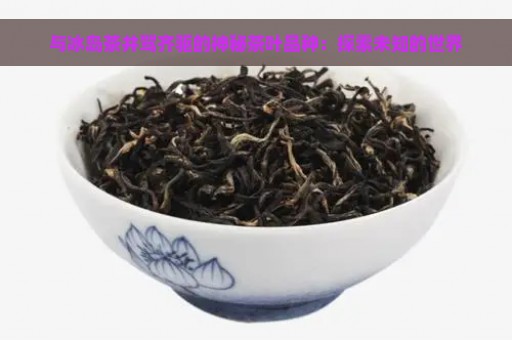 与冰岛茶并驾齐驱的神秘茶叶品种：探索未知的世界