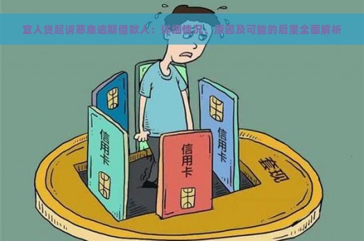 宜人贷起诉恶意逾期借款人：详细情况、原因及可能的后果全面解析