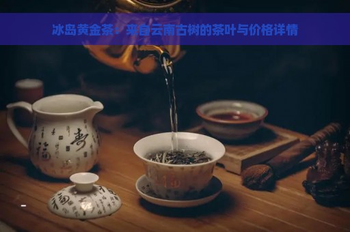 冰岛黄金茶：来自云南古树的茶叶与价格详情