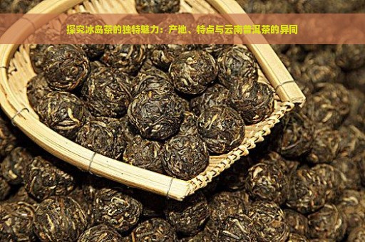 探究冰岛茶的独特魅力：产地、特点与云南普洱茶的异同