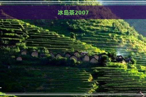 冰岛茶2007