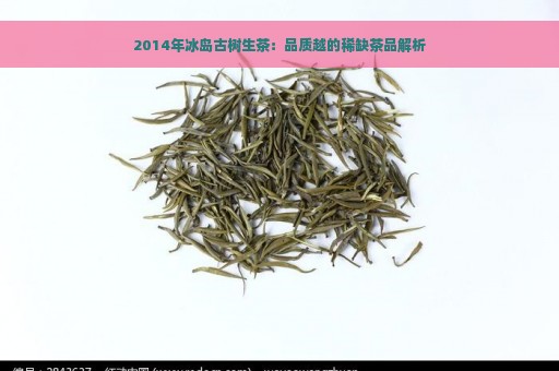 2014年冰岛古树生茶：品质越的稀缺茶品解析