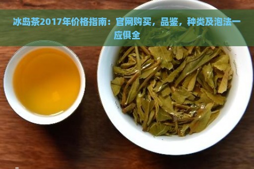 冰岛茶2017年价格指南：官网购买，品鉴，种类及泡法一应俱全