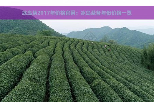 冰岛茶2017年价格官网：冰岛茶各年份价格一览