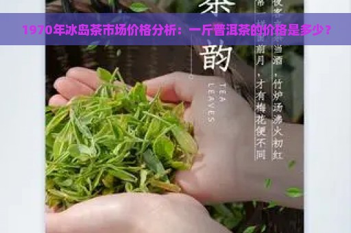 1970年冰岛茶市场价格分析：一斤普洱茶的价格是多少？