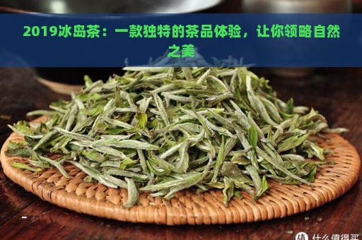 2019冰岛茶：一款独特的茶品体验，让你领略自然之美