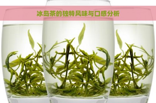 冰岛茶的独特风味与口感分析