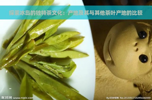 探索冰岛的独特茶文化：产地及其与其他茶叶产地的比较