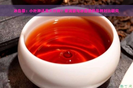 冰岛茶：小叶种还是大叶种？普洱茶与冰岛茶的品种对比研究