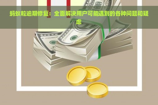 蚂蚁粒逾期修复：全面解决用户可能遇到的各种问题和疑虑