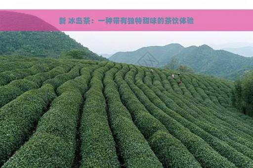 新 冰岛茶：一种带有独特甜味的茶饮体验