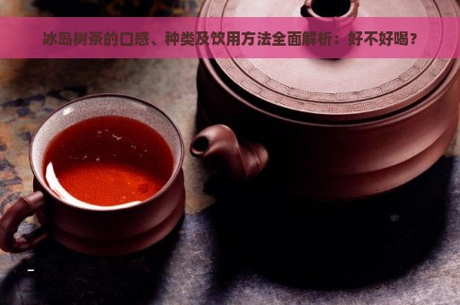 冰岛树茶的口感、种类及饮用方法全面解析：好不好喝？