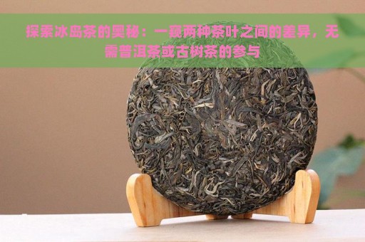 探索冰岛茶的奥秘：一窥两种茶叶之间的差异，无需普洱茶或古树茶的参与