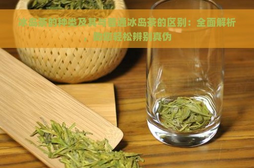 冰岛茶的种类及其与普通冰岛茶的区别：全面解析，助您轻松辨别真伪