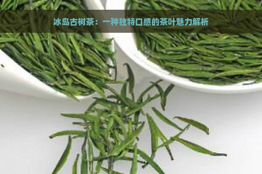 冰岛古树茶：一种独特口感的茶叶魅力解析