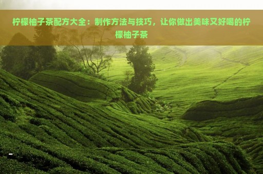 柠檬柚子茶配方大全：制作方法与技巧，让你做出美味又好喝的柠檬柚子茶