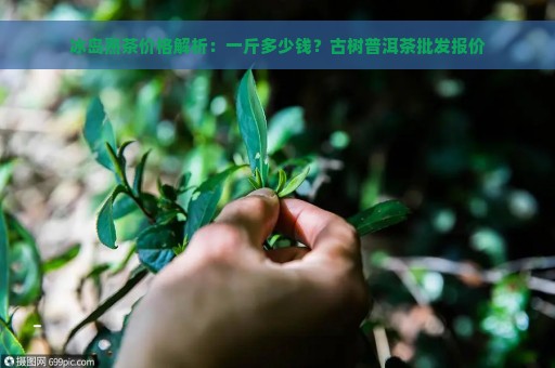 冰岛熟茶价格解析：一斤多少钱？古树普洱茶批发报价