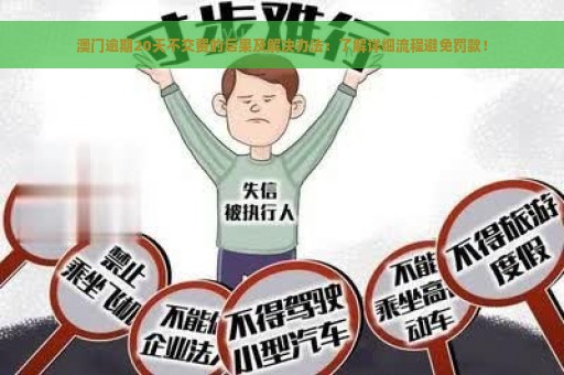 澳门逾期20天不交费的后果及解决办法：了解详细流程避免罚款！