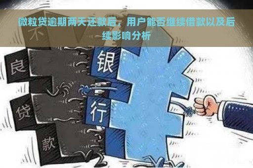 微粒贷逾期两天还款后，用户能否继续借款以及后续影响分析