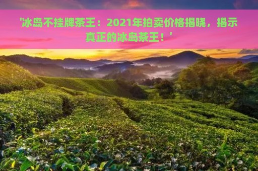 '冰岛不挂牌茶王：2021年拍卖价格揭晓，揭示真正的冰岛茶王！'