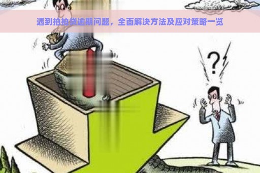 遇到拍拍贷逾期问题，全面解决方法及应对策略一览