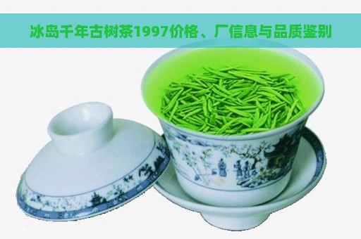 冰岛千年古树茶1997价格、厂信息与品质鉴别