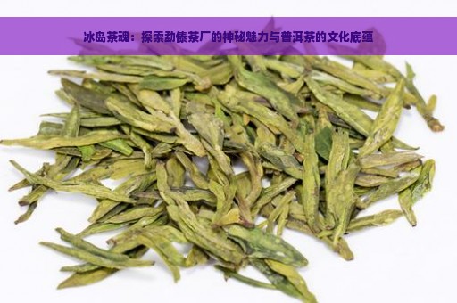 冰岛茶魂：探索勐傣茶厂的神秘魅力与普洱茶的文化底蕴