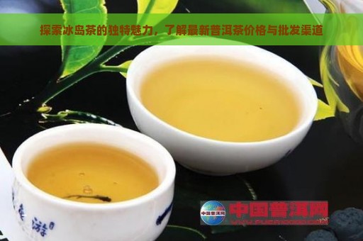 探索冰岛茶的独特魅力，了解最新普洱茶价格与批发渠道