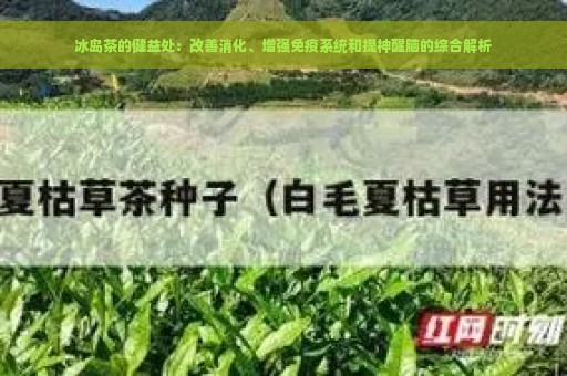 冰岛茶的健益处：改善消化、增强免疫系统和提神醒脑的综合解析