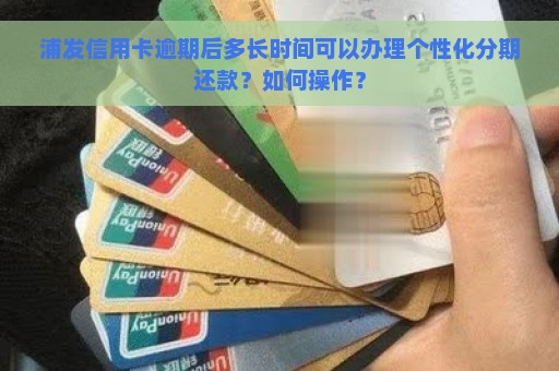 浦发信用卡逾期后多长时间可以办理个性化分期还款？如何操作？