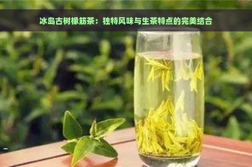 冰岛古树橡筋茶：独特风味与生茶特点的完美结合