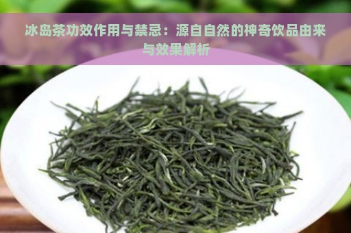 冰岛茶功效作用与禁忌：源自自然的神奇饮品由来与效果解析