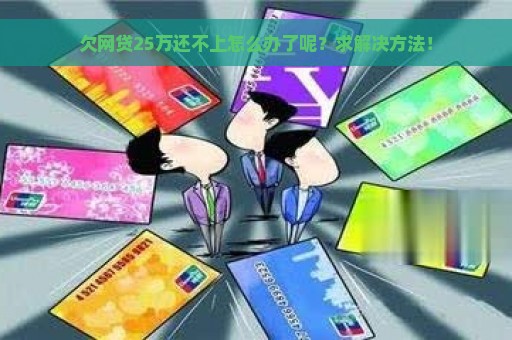 欠网贷25万还不上怎么办了呢？求解决方法！