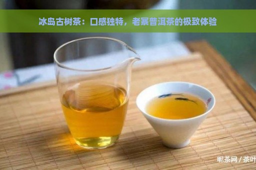 冰岛古树茶：口感独特，老寨普洱茶的极致体验