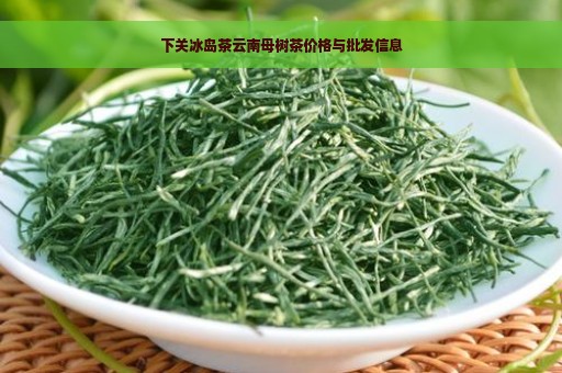 下关冰岛茶云南母树茶价格与批发信息