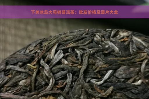 下关冰岛大母树普洱茶：批发价格及图片大全