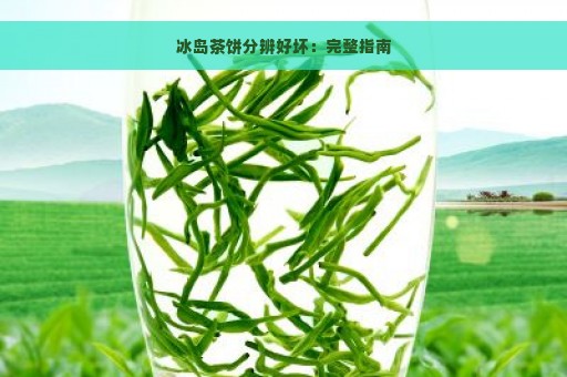 冰岛茶饼分辨好坏：完整指南